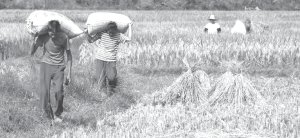 Las reformas de Deng agravaron la miseria de la vida rural