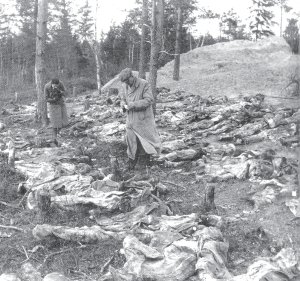 En el Bosque de Katyn (Polonia), las tropas rusas fusilaron a miles de oficiales y civiles polacos. En 1943, la prensa nazi divulg fotos de las fosas comunes.