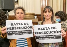 Gabriela_Cabezon_Camara--Diputada-Del-Pla.jpg