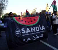 Palestina_5.jpg