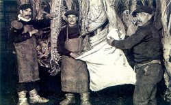 El negocio de la carne favoreció a los capitales extranjeros