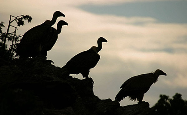 No al nuevo endeudamiento y pacto con los buitres