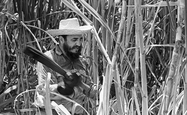 Fidel en la zafra
