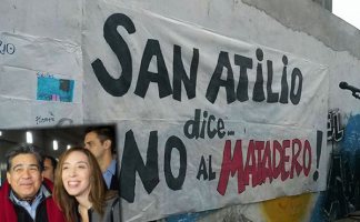 Ishii (PJ) y Vidal (PRO-Cambiemos) están a favor