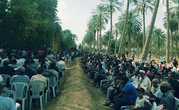 El oasis de Jemna es propiedad histórica común de los campesinos tunecinos.