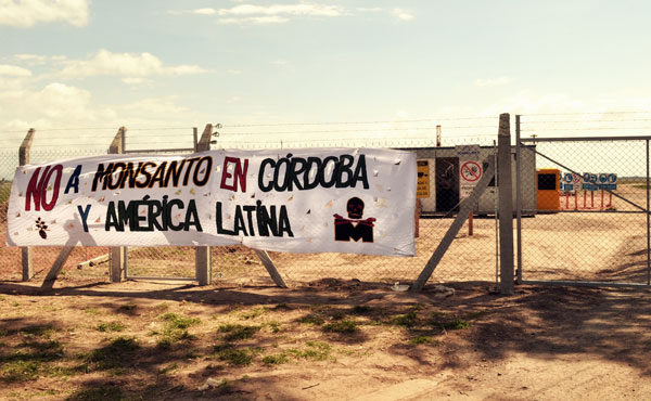 Corte-Malvinas-Argentinas- monsanto