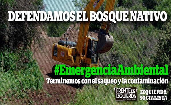 ley de bosques