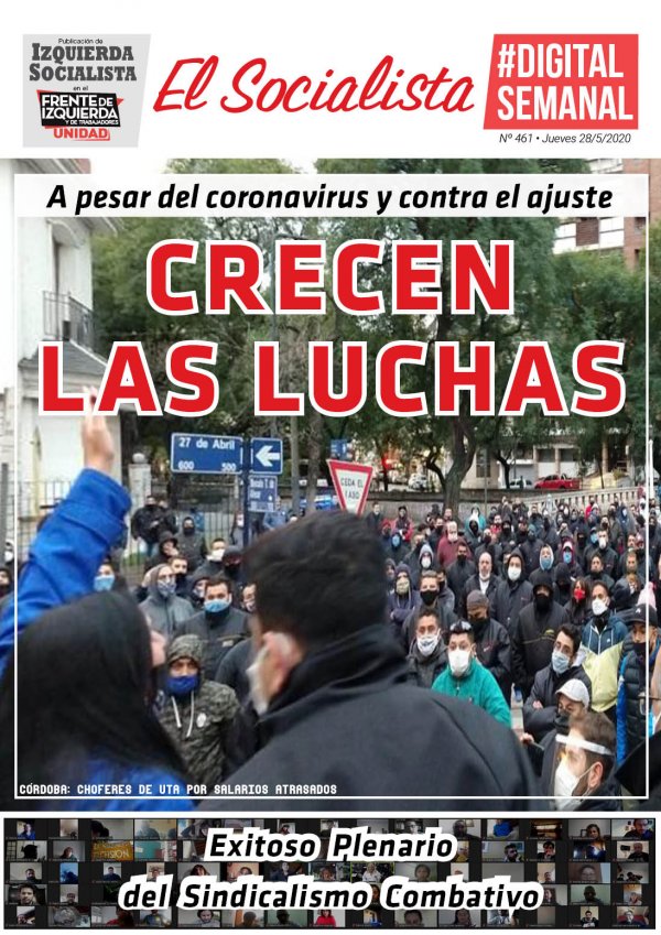 El Socialista N° 461