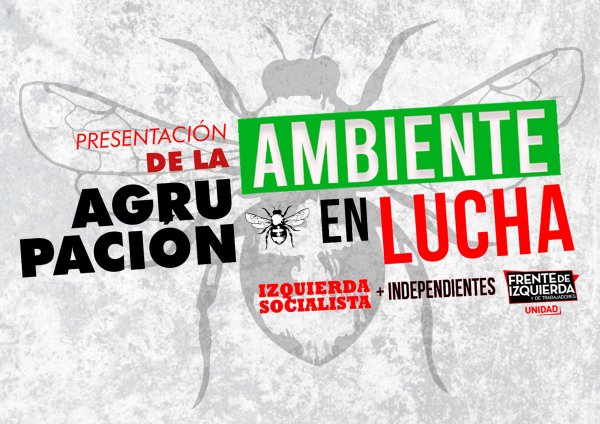 Ambiente en Lucha