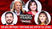 Por más diputadas y diputados que apoyen tus luchas
