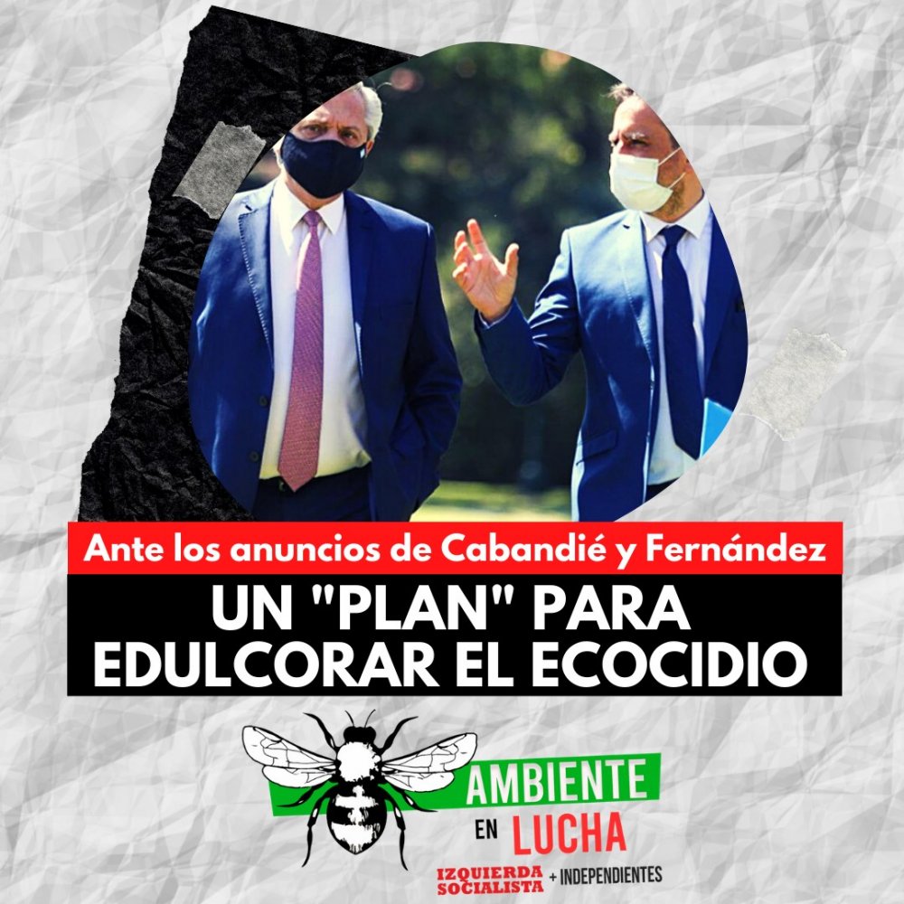 Ante los anuncios del ministro Juan Cabandié y el presidente Alberto Fernández, UN "PLAN" PARA EDULCORAR EL ECOCIDIO