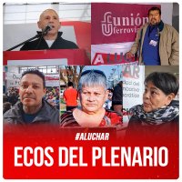 #ALuchar / Ecos del plenario