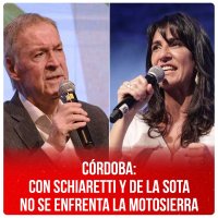 Córdoba: con Schiaretti y De La Sota no se enfrenta la motosierra