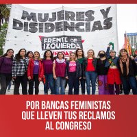 Por bancas feministas que lleven tus reclamos al Congreso