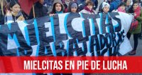 Mielcitas en pie de lucha