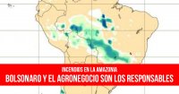 Incendios en la Amazonia: Bolsonaro y el agronegocio son los responsables