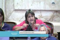 DIPUTADA SCHLOTTHAUER PRESENTO PROYECTO PARA PROHIBIR DESPIDOS Y SUSPENSIONES