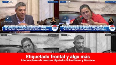 Etiquetado frontal y algo más / Intervenciones de nuestros diputados Schlotthauer y Giordano
