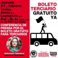 Crece el reclamo por el boleto educativo para terciarios