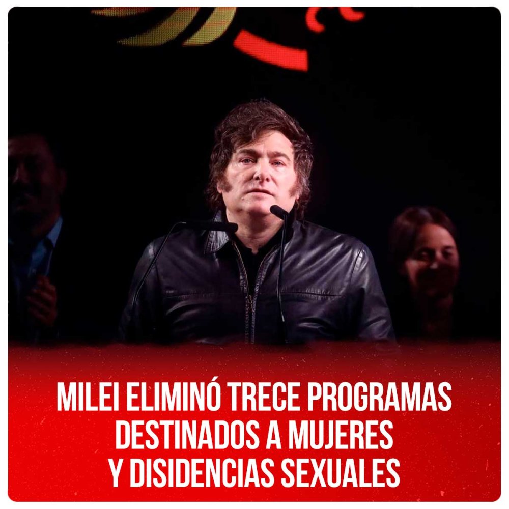 Milei eliminó trece programas destinados a mujeres y disidencias sexuales