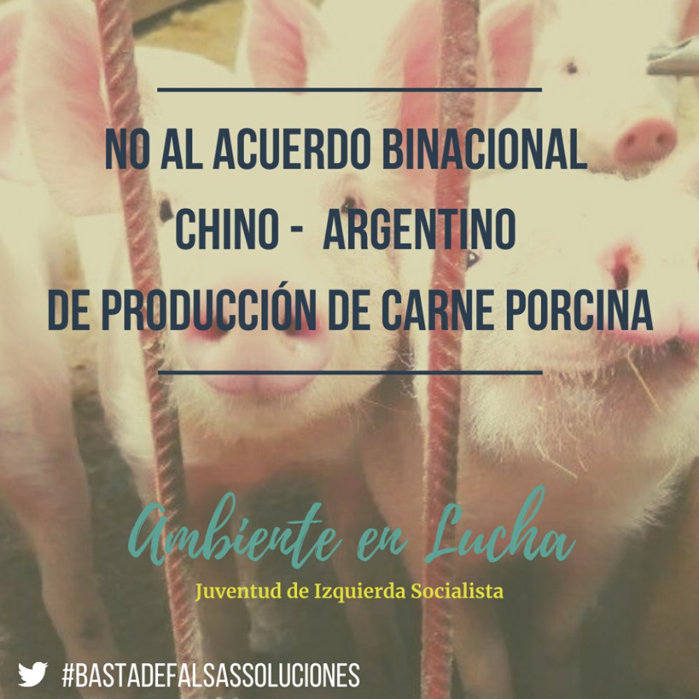 NO al acuerdo binacional chino-argentino de producción de carne porcina