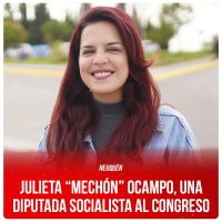 Neuquén / Julieta “Mechón” Ocampo, una diputada socialista al Congreso