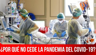 ¿Por qué no cede la pandemia del Covid-19?