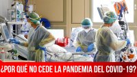 ¿Por qué no cede la pandemia del Covid-19?