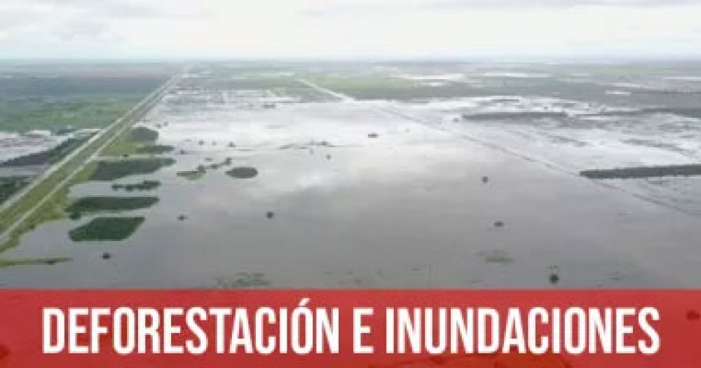 Deforestación e inundaciones