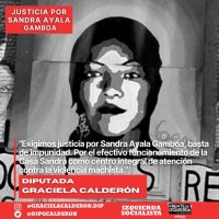Proyecto de Declaración / Justicia por Sandra Ayala Gamboa