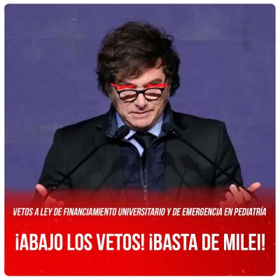 Vetos a Ley de Financiamiento Universitario y de Emergencia en Pediatría / ¡Abajo los vetos! ¡Basta de Milei!