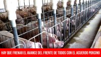 Hay que frenar el avance del Frente de Todos con el acuerdo porcino