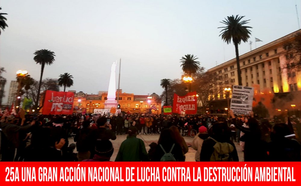25A. Una gran acción nacional de lucha contra la destrucción ambiental