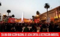 25A. Una gran acción nacional de lucha contra la destrucción ambiental
