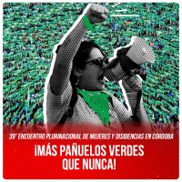 39° Encuentro Plurinacional de Mujeres y Disidencias en Córdoba / ¡Más pañuelos verdes que nunca!