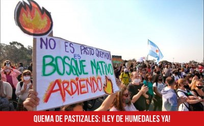 Quema de pastizales: ¡Ley de humedales ya!