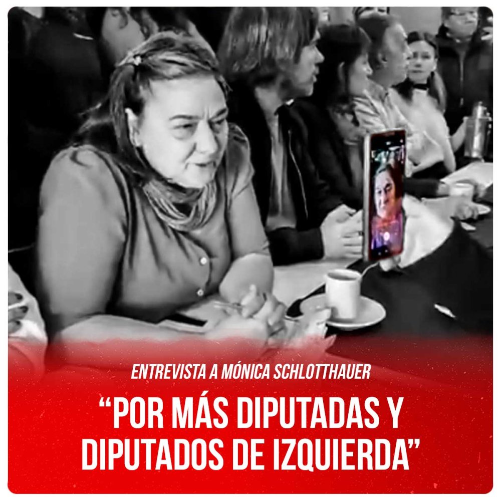 Entrevista a Mónica Schlotthauer “Por más diputadas y diputados de izquierda”