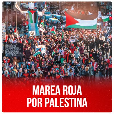 Marea Roja x Palestina