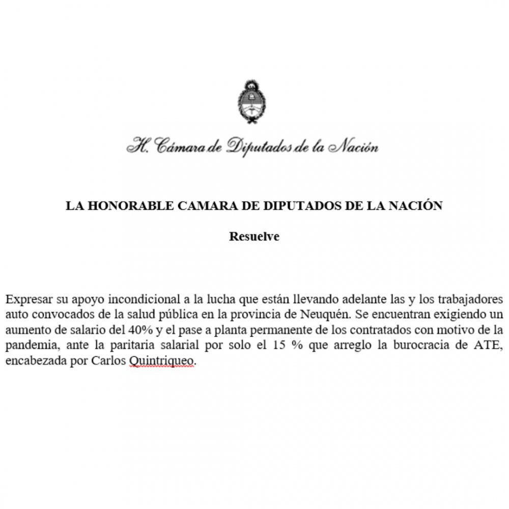 Proyecto en el Congreso de nuestro diputado Juan Carlos Giordano (Izquierda Socialista-Frente de Izquierda Unidad) en apoyo a la lucha de la salud en Neuquén