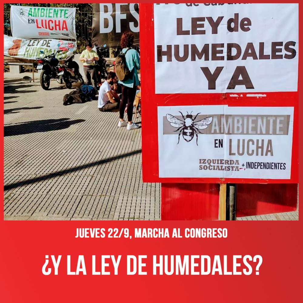 Jueves 22/9, marcha al Congreso / ¿Y la Ley de Humedales?
