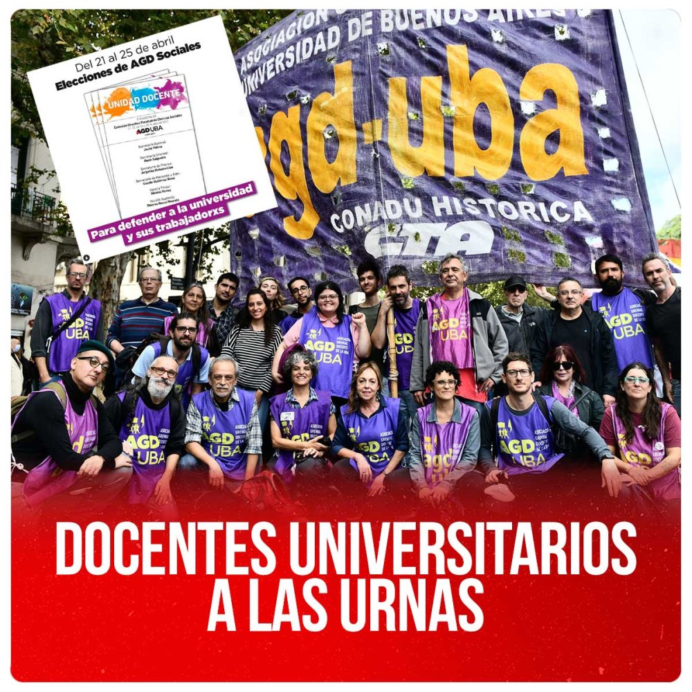 Docentes Universitarios a las urnas