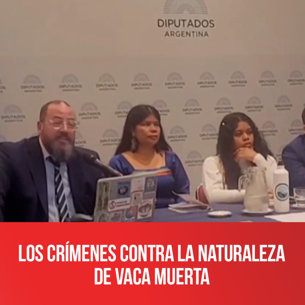 Los crímenes contra la naturaleza de Vaca Muerta