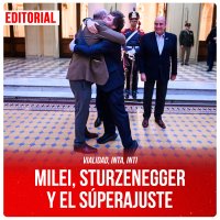 Vialidad, INTA, INTI / Milei, Sturzenegger y el súperajuste