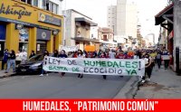 Humedales, “patrimonio común”