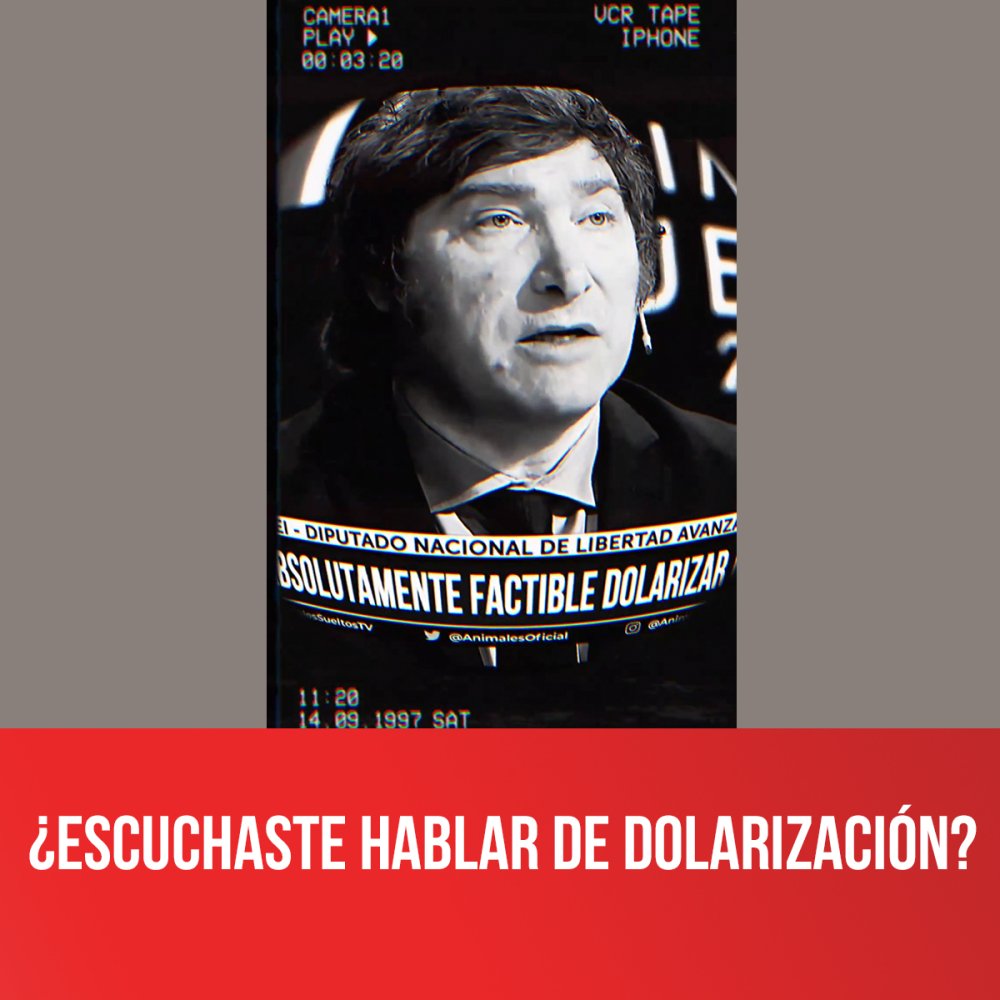 ¿Escuchaste hablar de dolarización?