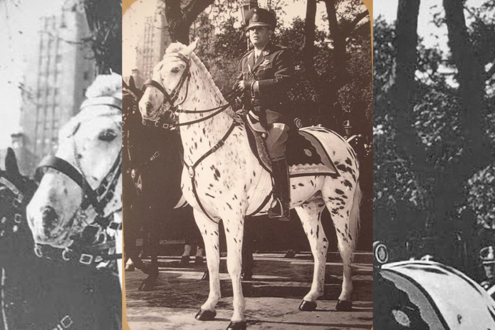 ¿Qué es el peronismo?