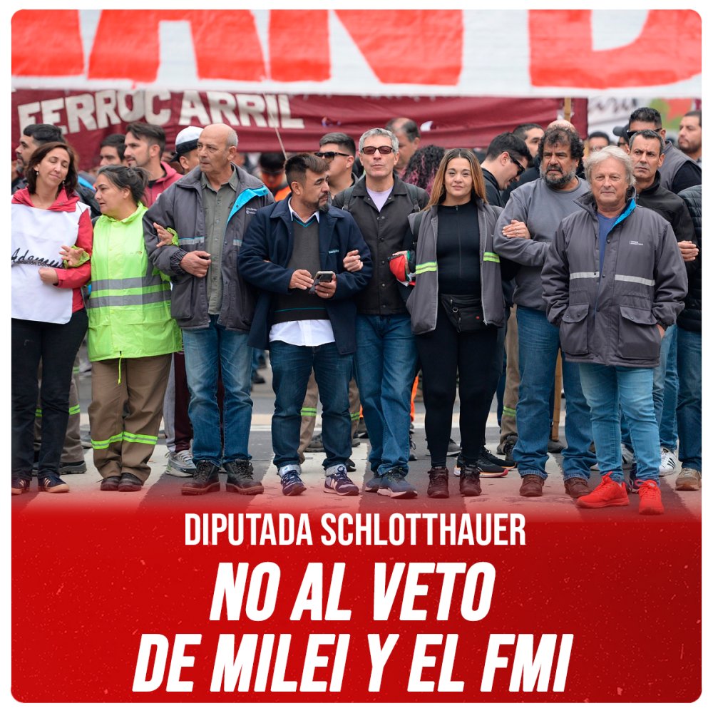 Diputada Schlotthauer / No al veto de Milei y el FMI