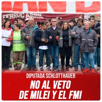 Diputada Schlotthauer / No al veto de Milei y el FMI