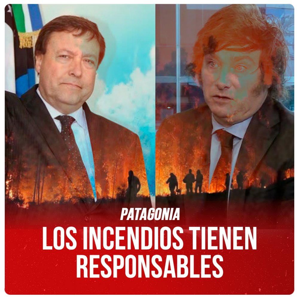 Patagonia / Los incendios tienen responsables