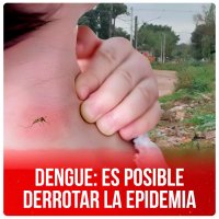 Dengue: es posible derrotar la epidemia